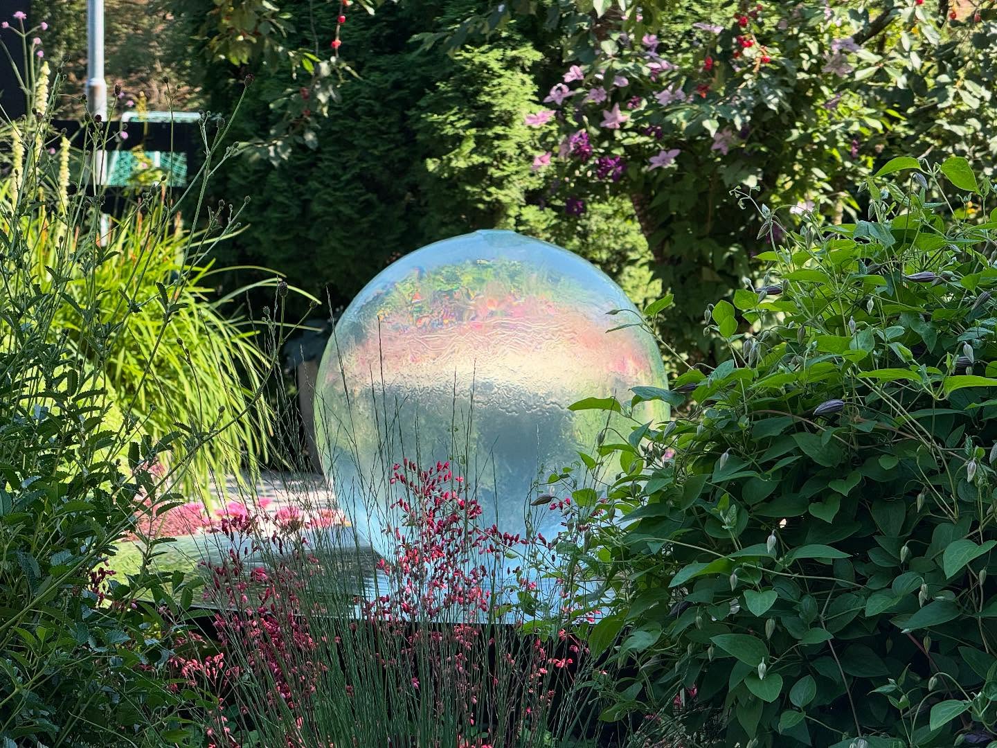 A Hidden Rainbow in the Garden